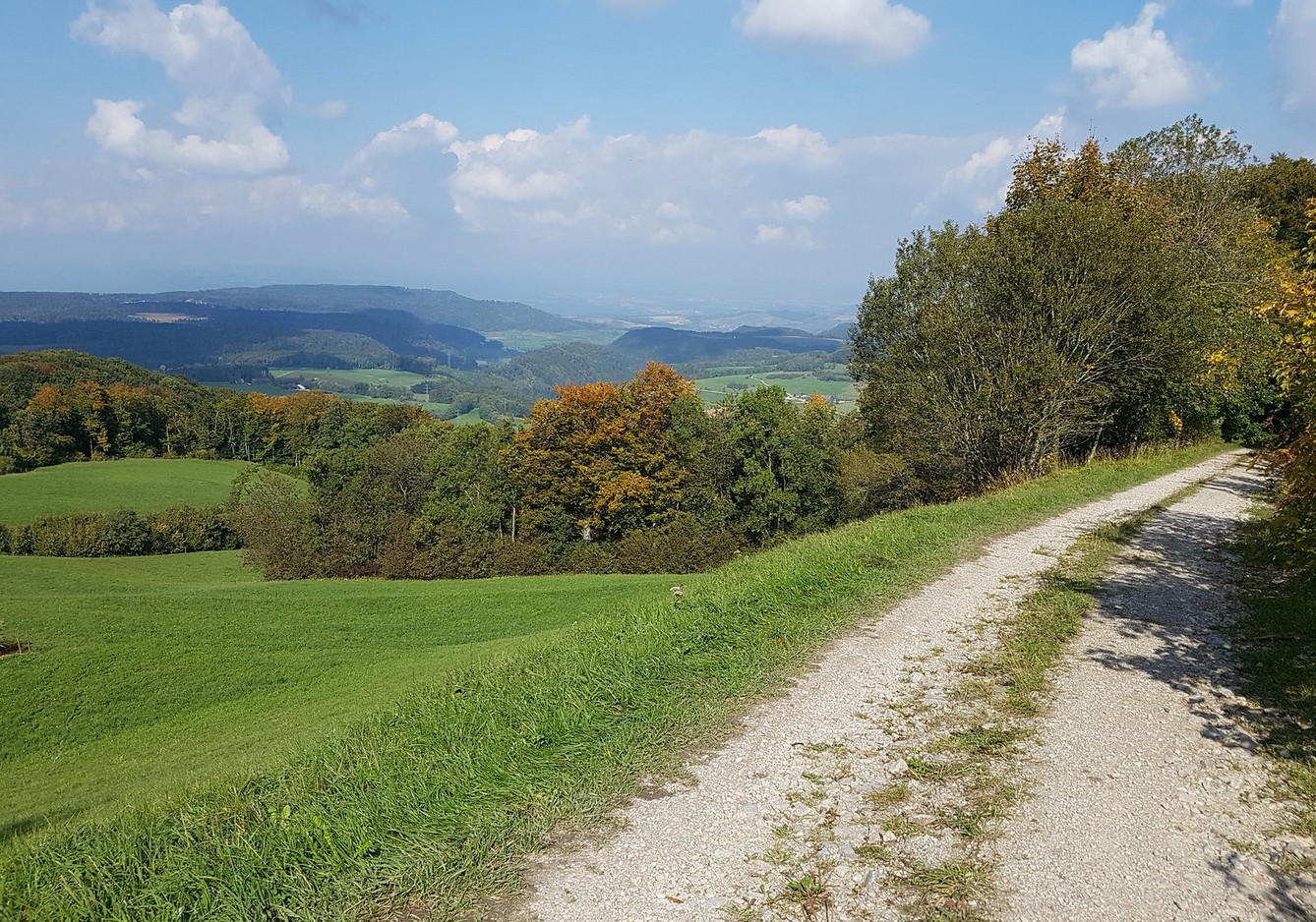 Steuerfüsse im Kanton Basel-Landschaft – Liestal und Gemeinden im Überblick